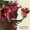 Sugar Parks - Ruminations - EP